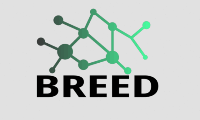 Μετάβαση στη σελίδα  BREED