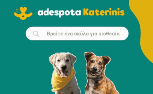 Μετάβαση στη σελίδα  www.adespotakaterinis.gr